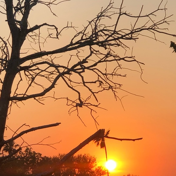 Meet your Posher, De - Picture 1 of 1